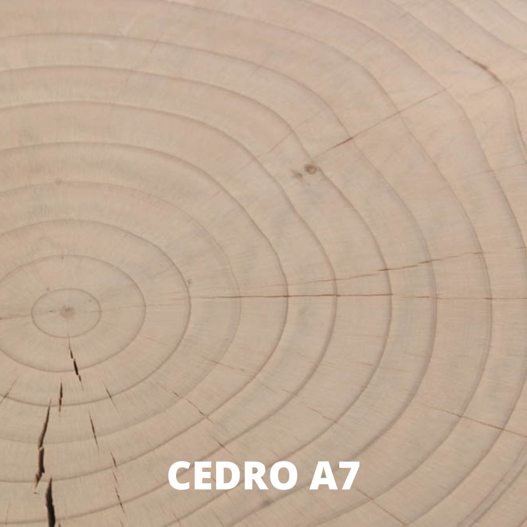 Riva 1920 | Panca in legno MOLLETTA KIDS